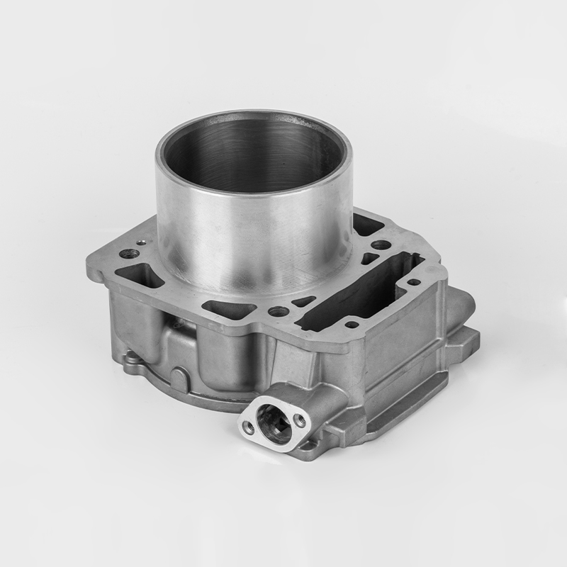 Sraith marthanach sorcóir inneall Liangzi 1000 (Φ91) Bombardier 1000